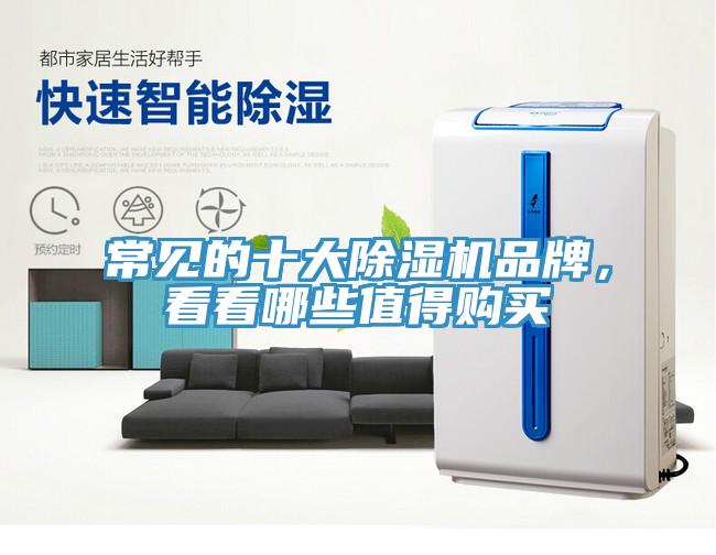 常見(jiàn)的十大除濕機(jī)品牌，看看哪些值得購(gòu)買(mǎi)