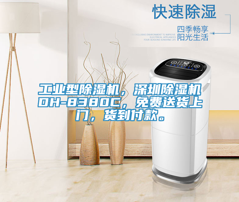 工業(yè)型除濕機(jī),深圳除濕機(jī)DH-8380C,免費(fèi)送貨上門,貨到付款。
