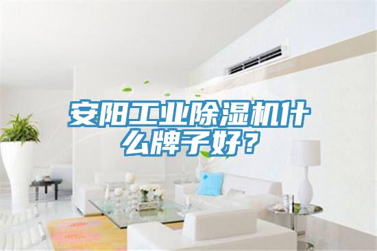 安陽工業除濕機什么牌子好？