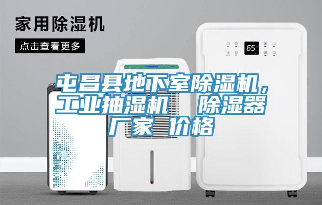 屯昌縣地下室除濕機，工業抽濕機  除濕器廠家 價格