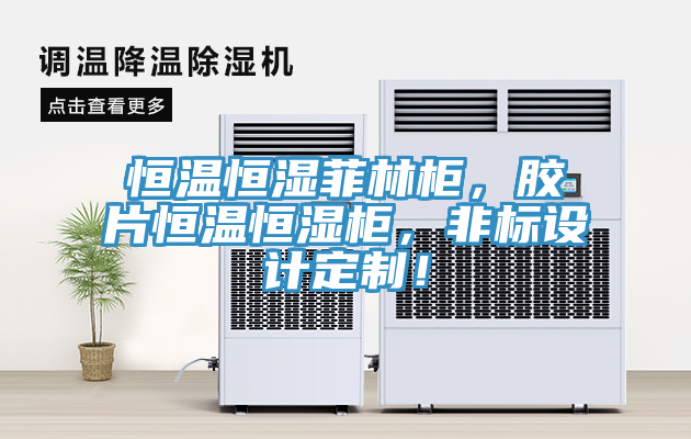 恒溫恒濕菲林柜，膠片恒溫恒濕柜，非標(biāo)設(shè)計(jì)定制！
