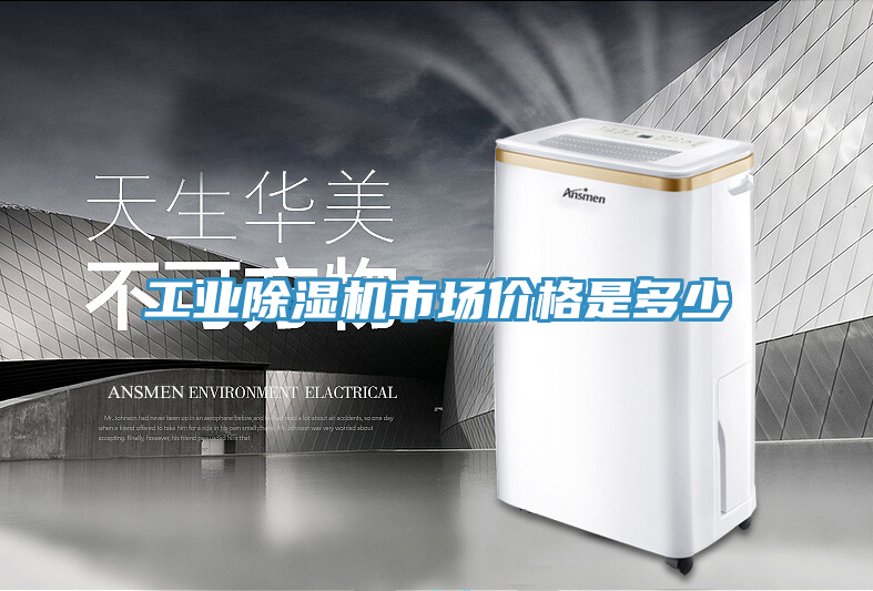 工業(yè)除濕機(jī)市場價(jià)格是多少