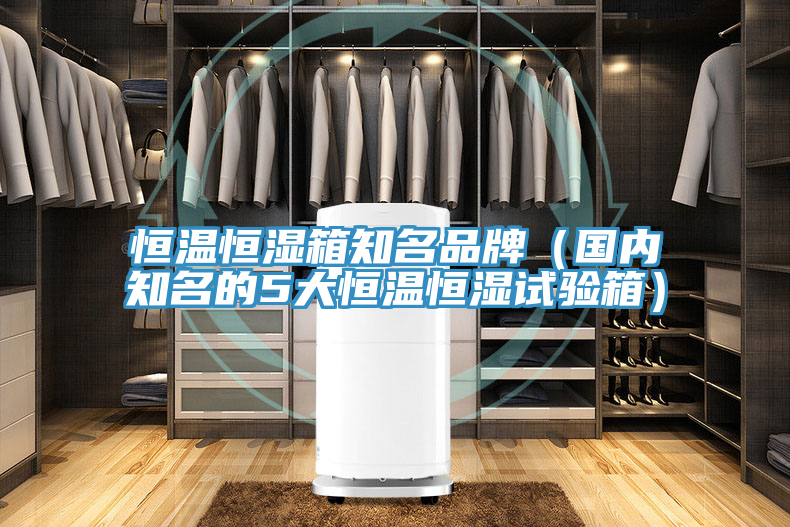 恒溫恒濕箱知名品牌(國內知名的5大恒溫恒濕試驗箱)