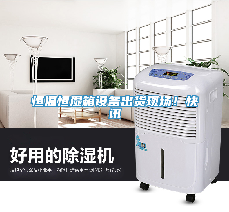 恒溫恒濕箱設備出貨現場!快訊