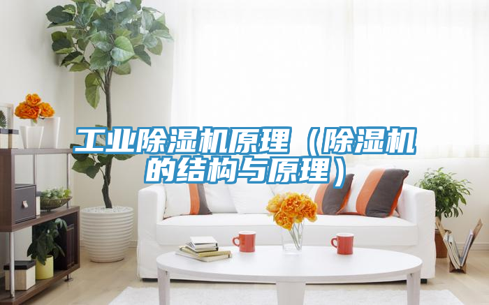 工業(yè)除濕機原理（除濕機的結(jié)構與原理）
