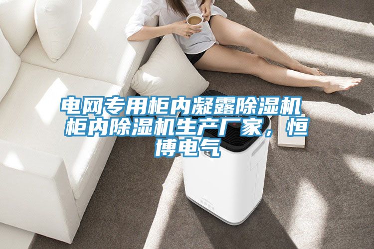 電網(wǎng)專(zhuān)用柜內(nèi)凝露除濕機(jī) 柜內(nèi)除濕機(jī)生產(chǎn)廠家，恒博電氣