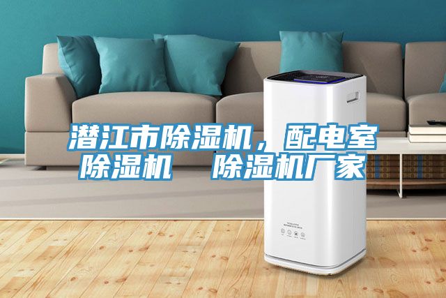 潛江市除濕機(jī)，配電室除濕機(jī)  除濕機(jī)廠家