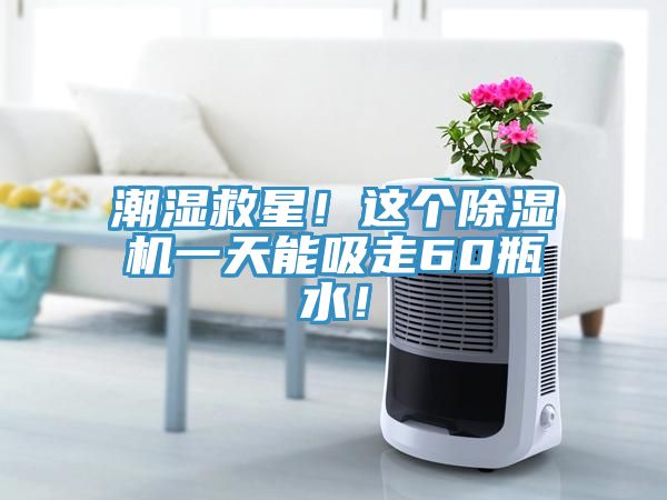 潮濕救星！這個除濕機(jī)一天能吸走60瓶水！