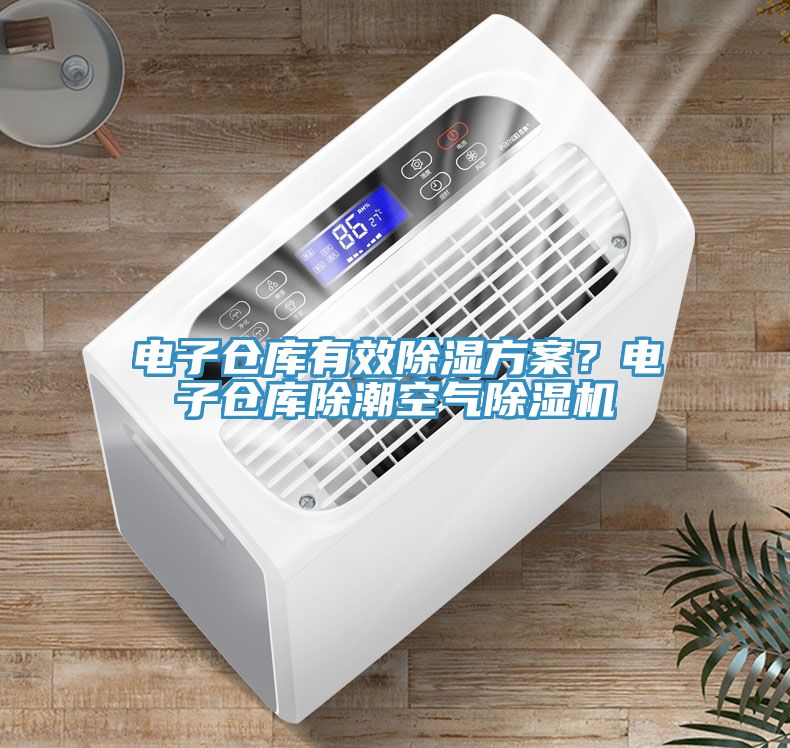 電子倉庫有效除濕方案？電子倉庫除潮空氣除濕機