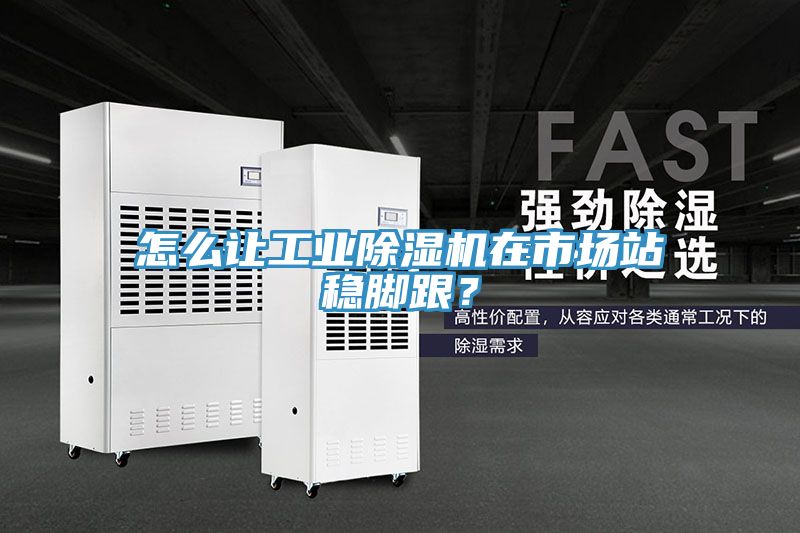 怎么讓工業(yè)除濕機在市場站穩(wěn)腳跟？
