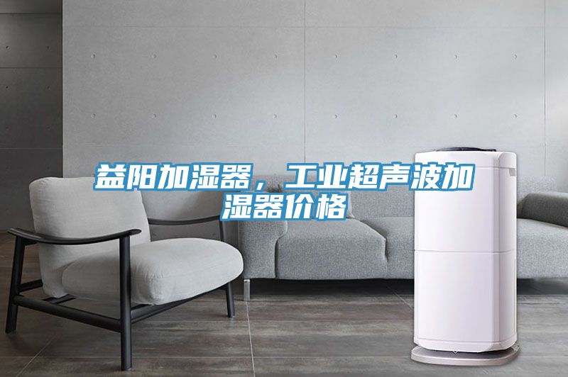 益陽(yáng)加濕器，工業(yè)超聲波加濕器價(jià)格