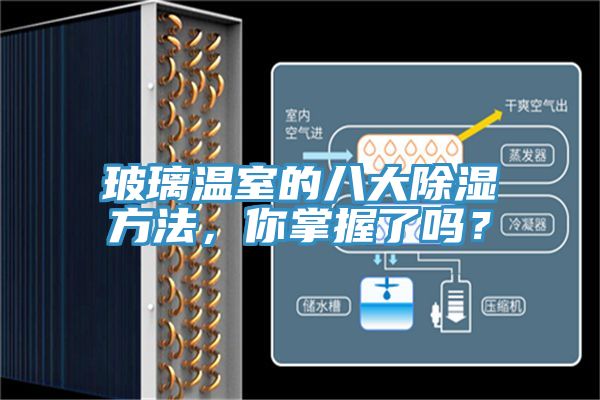 玻璃溫室的八大除濕方法，你掌握了嗎？