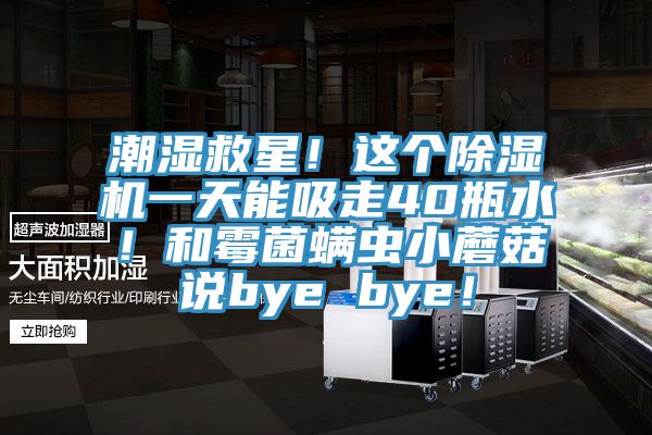 潮濕救星！這個除濕機(jī)一天能吸走40瓶水！和霉菌螨蟲小蘑菇說bye bye！