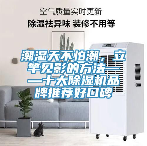 潮濕天不怕潮，立竿見影的方法——十大除濕機(jī)品牌推薦好口碑