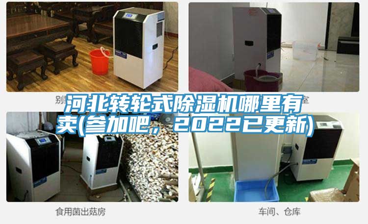 河北轉(zhuǎn)輪式除濕機(jī)哪里有賣(參加吧，2022已更新)