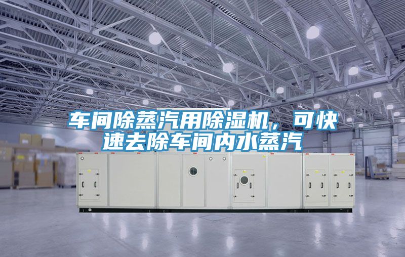 車間除蒸汽用除濕機(jī)，可快速去除車間內(nèi)水蒸汽