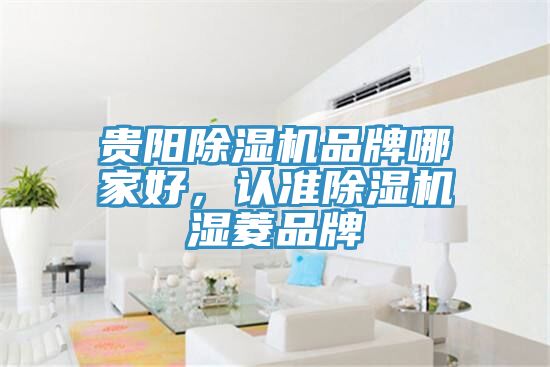 貴陽除濕機品牌哪家好，認(rèn)準(zhǔn)除濕機濕菱品牌