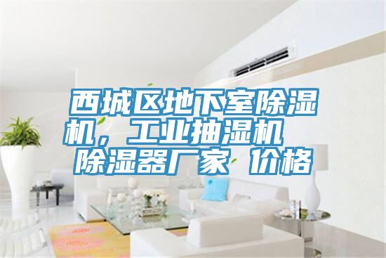 西城區地下室除濕機，工業抽濕機  除濕器廠家 價格