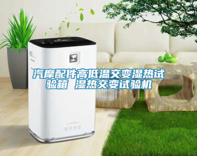 汽摩配件高低溫交變濕熱試驗箱 濕熱交變試驗機(jī)