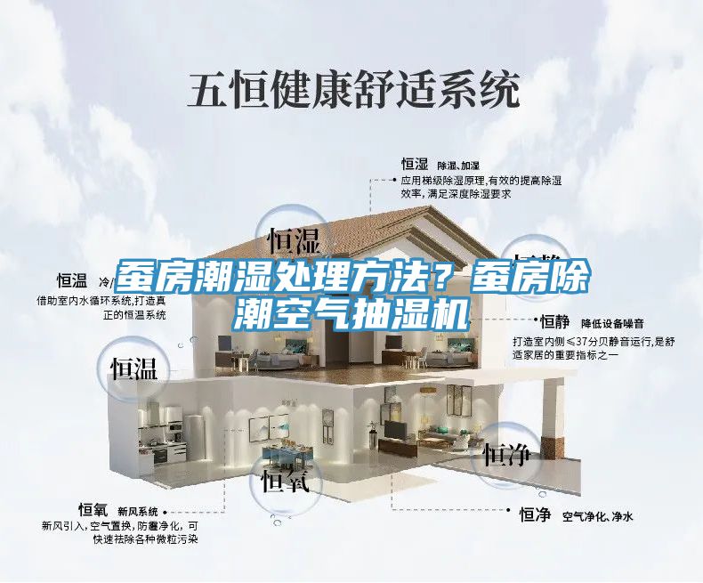 蠶房潮濕處理方法？蠶房除潮空氣抽濕機