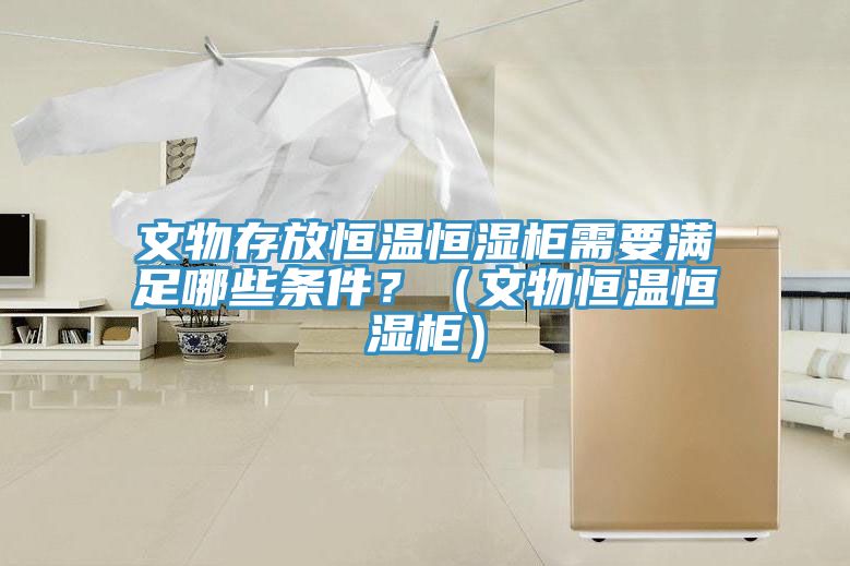 文物存放恒溫恒濕柜需要滿足哪些條件？（文物恒溫恒濕柜）