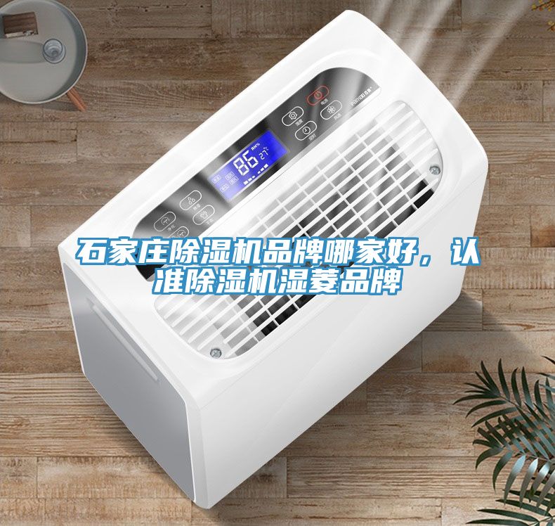 石家莊除濕機品牌哪家好，認準除濕機濕菱品牌