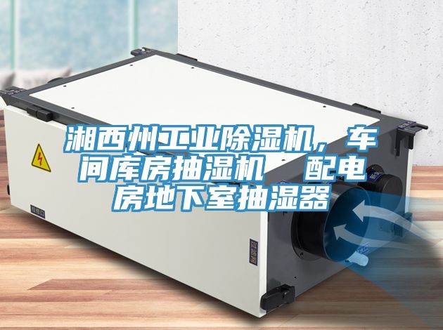 湘西州工業除濕機，車間庫房抽濕機  配電房地下室抽濕器