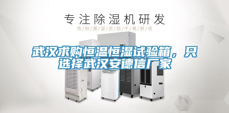 武漢求購(gòu)恒溫恒濕試驗(yàn)箱，只選擇武漢安德信廠家