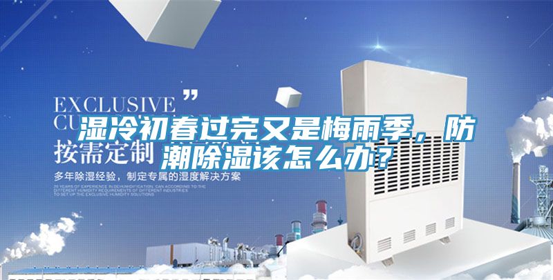 濕冷初春過完又是梅雨季，防潮除濕該怎么辦？