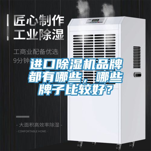 進口除濕機品牌都有哪些，哪些牌子比較好？