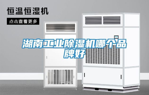 湖南工業(yè)除濕機(jī)哪個(gè)品牌好