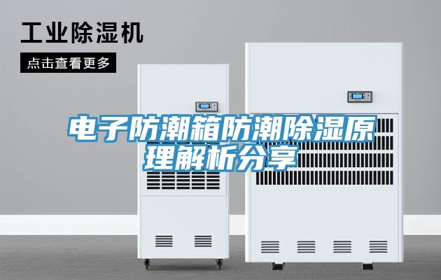 電子防潮箱防潮除濕原理解析分享