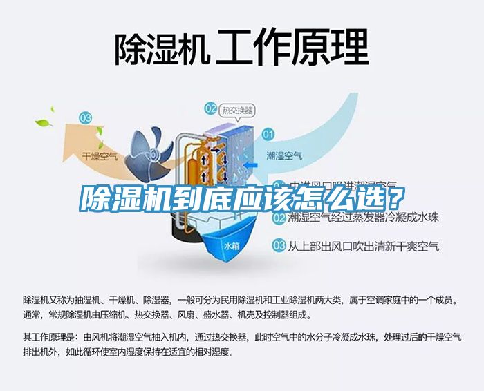 除濕機到底應該怎么選？