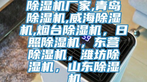 除濕機廠家,青島除濕機,威海除濕機,煙臺除濕機，日照除濕機，東營除濕機，濰坊除濕機，山東除濕機