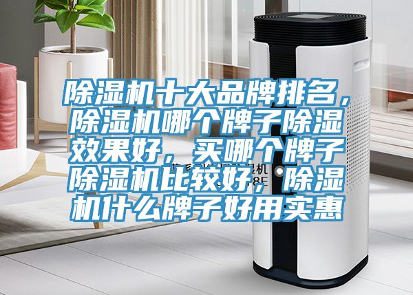 除濕機(jī)十大品牌排名，除濕機(jī)哪個(gè)牌子除濕效果好，買哪個(gè)牌子除濕機(jī)比較好，除濕機(jī)什么牌子好用實(shí)惠