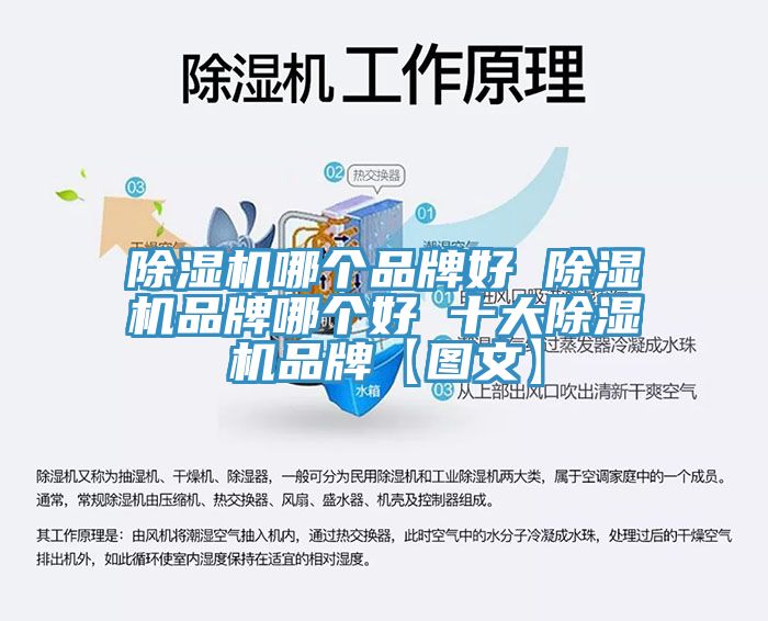 除濕機哪個品牌好 除濕機品牌哪個好 十大除濕機品牌【圖文】