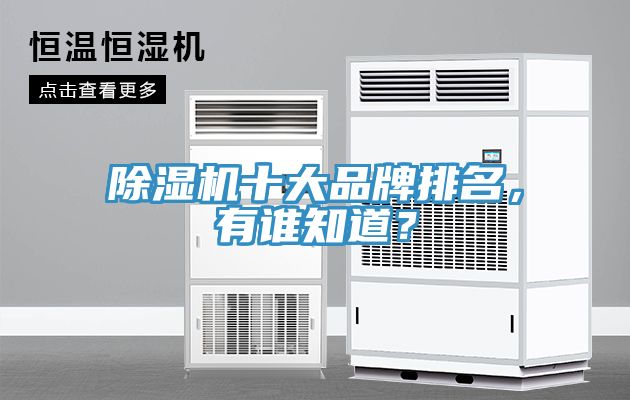 除濕機十大品牌排名，有誰知道？