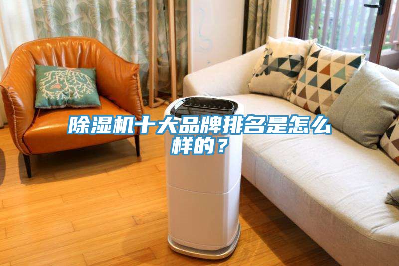 除濕機十大品牌排名是怎么樣的？