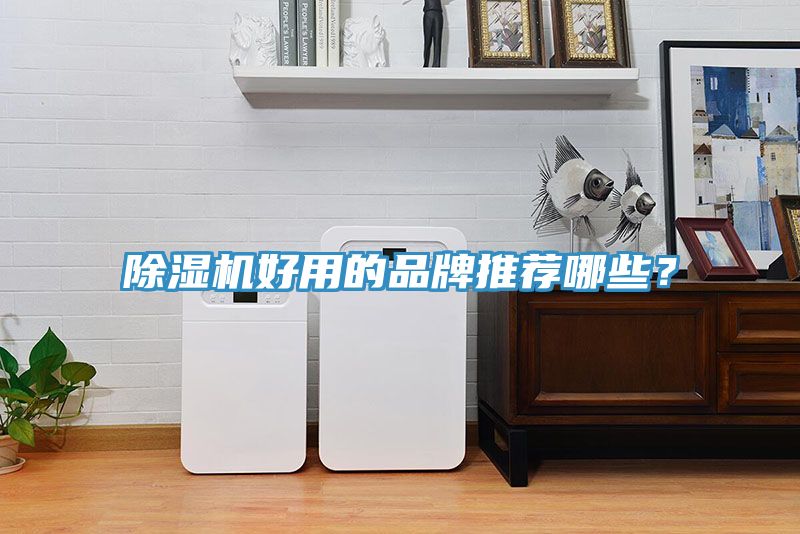 除濕機好用的品牌推薦哪些？