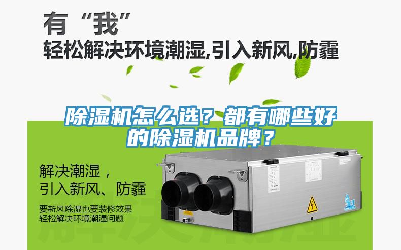 除濕機怎么選？都有哪些好的除濕機品牌？