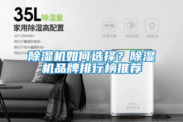 除濕機如何選擇？除濕機品牌排行榜推薦