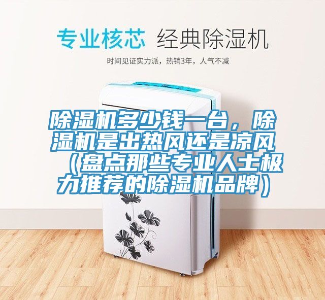 除濕機多少錢一臺，除濕機是出熱風還是涼風（盤點那些專業人士極力推薦的除濕機品牌）