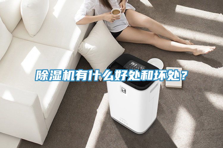 除濕機有什么好處和壞處？