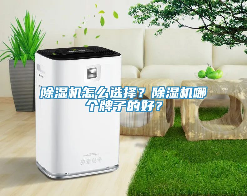 除濕機怎么選擇？除濕機哪個牌子的好？
