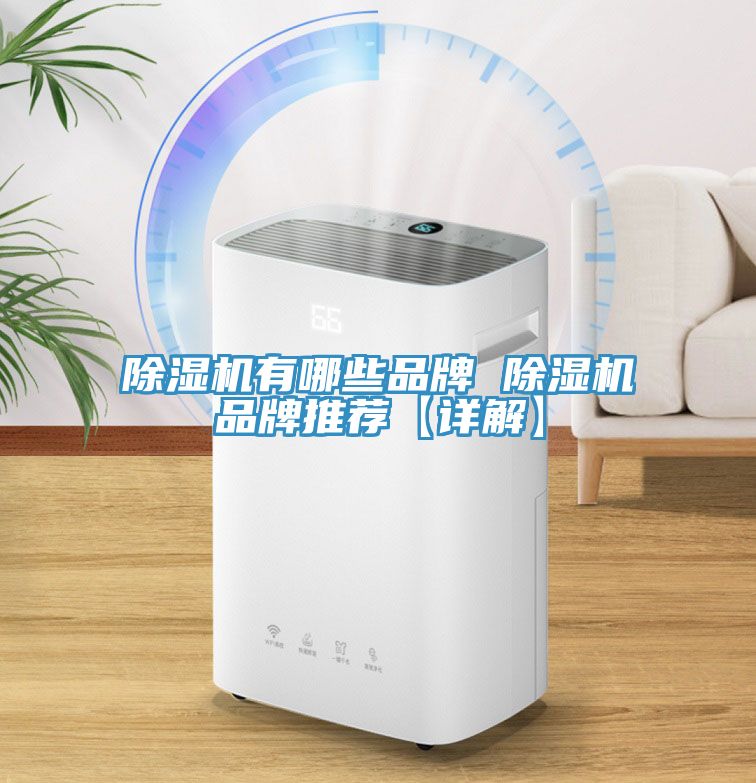 除濕機有哪些品牌 除濕機品牌推薦【詳解】