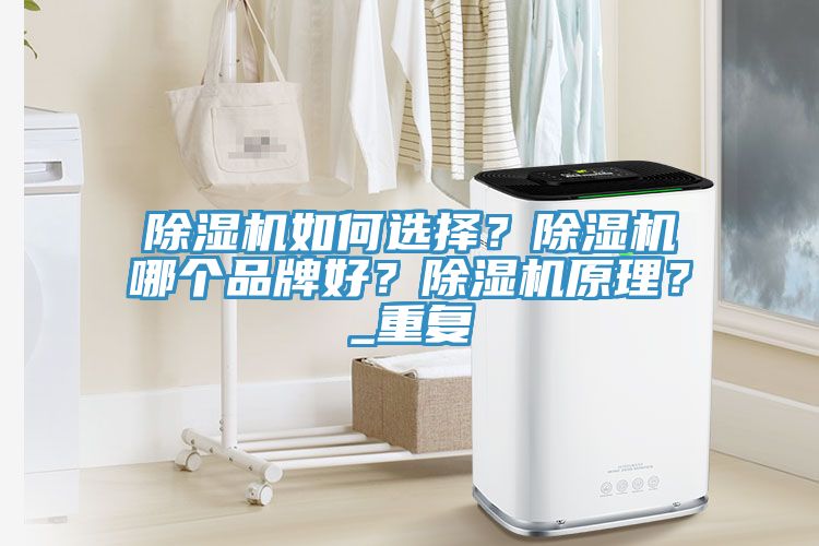 除濕機如何選擇？除濕機哪個品牌好？除濕機原理？_重復(fù)
